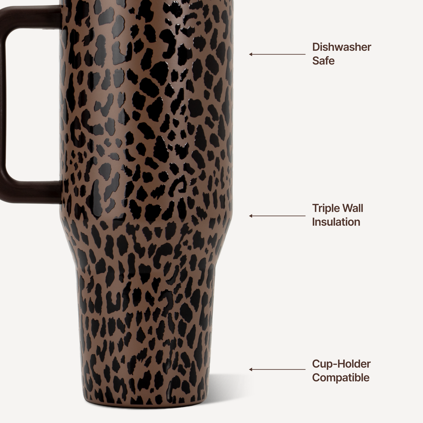 brown-leopard-t1 TRVL32-BrownLeopard-3-WPI.png
