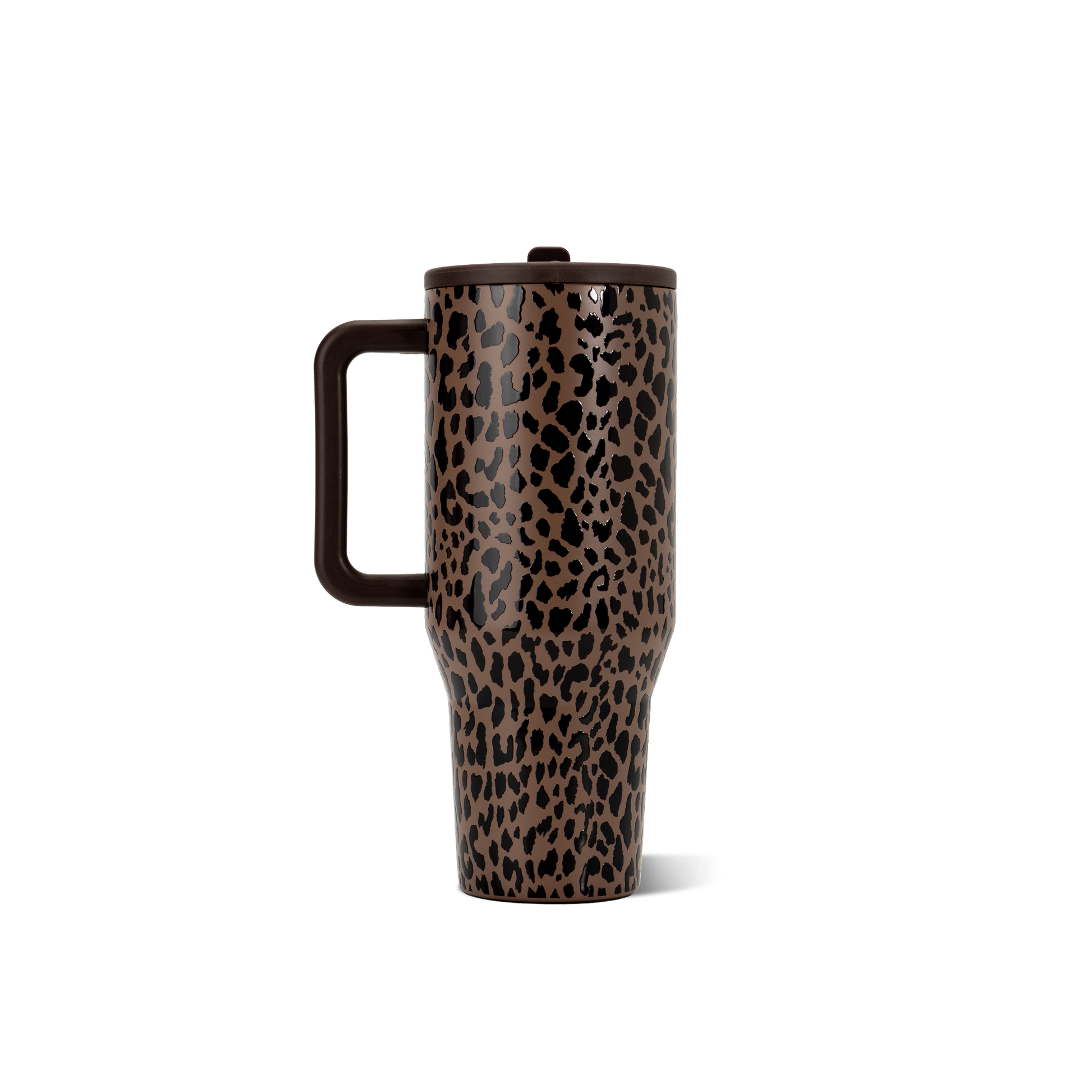 brown-leopard-t1 TRVL32-BrownLeopard-5-WPI.png